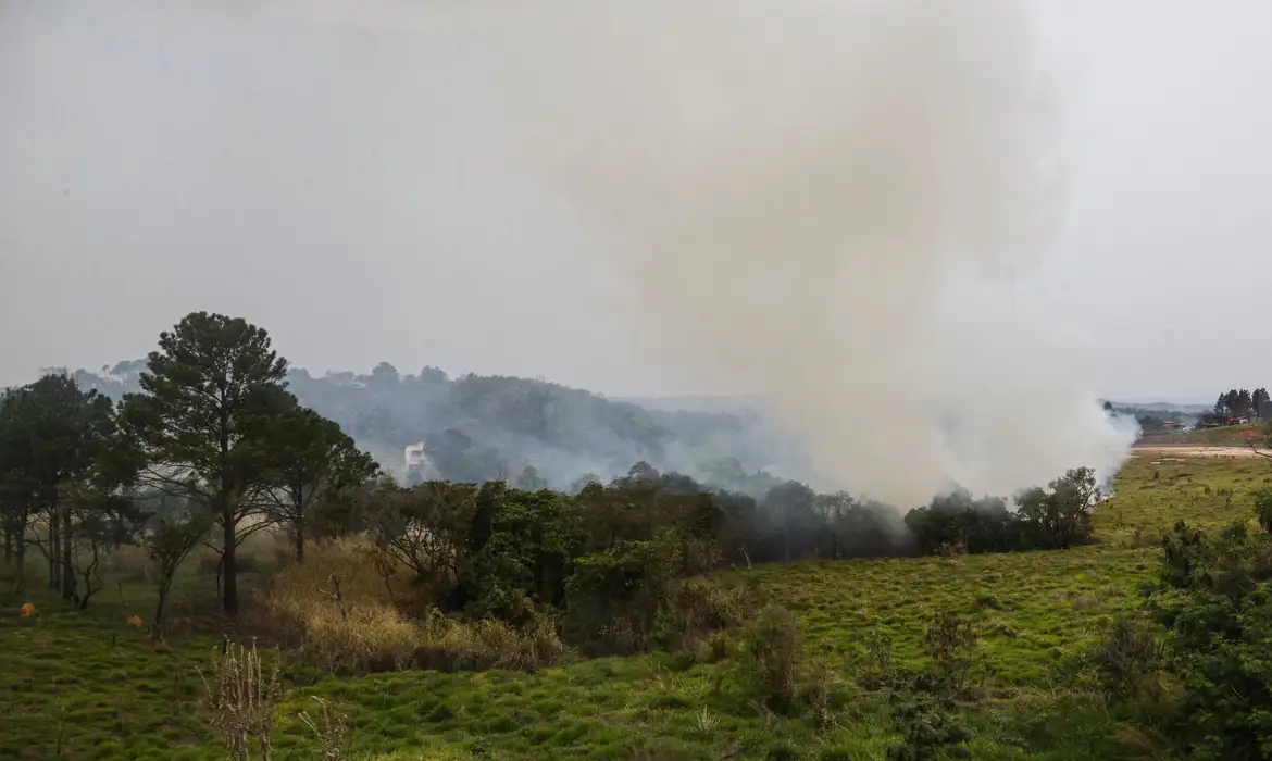 Polícia prende quinto suspeito de incêndios criminosos em SP -  (crédito: EBC)