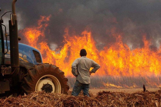 Chamas destruíram grandes áreas também no Estado de SP em 2024 -  (crédito: Reuters)