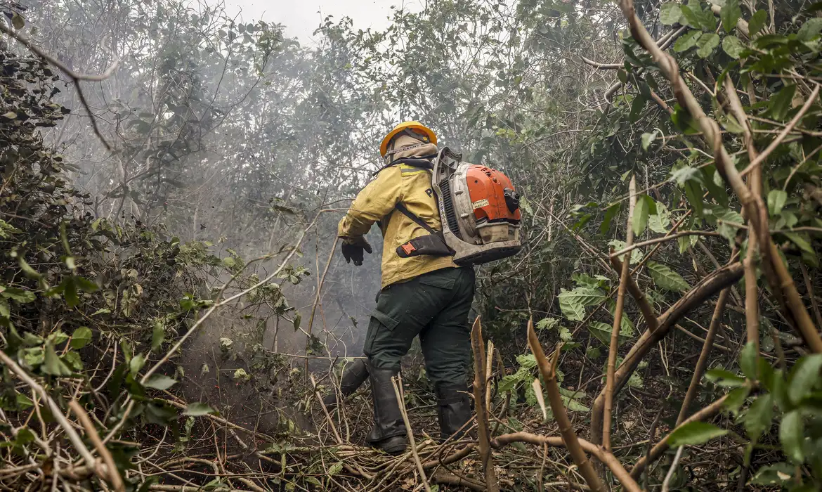 Dino manda governo ampliar combate ao fogo na Amazônia e no Pantanal -  (crédito: EBC)