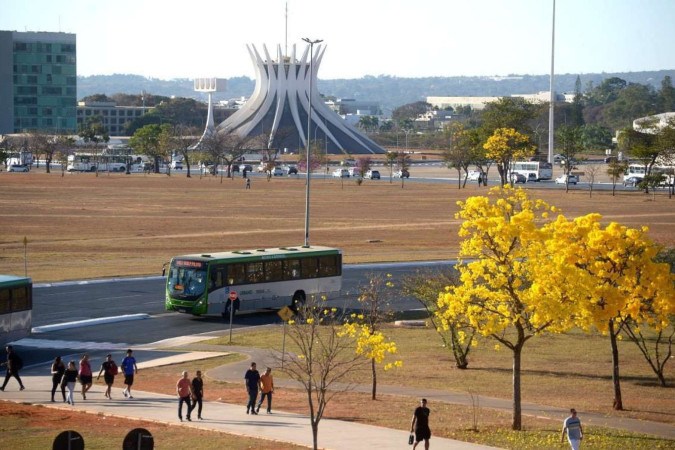 Bom dia, Brasília! Isto É Brasília - Ipê Amarelo, Esplanada. Previsão do Tempo.  -  (crédito: Ed Alves/CB)