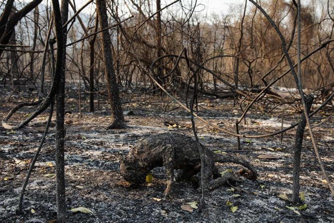 O Pantanal em chamas resultou nos registros dramáticos de Lalo de Almeida
