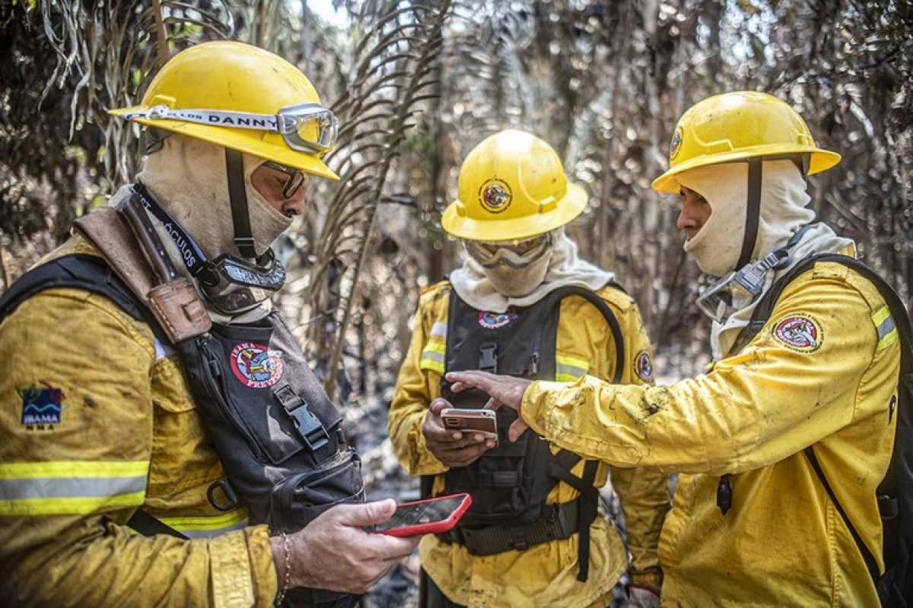 Ibama prevê a contratação de novos brigadistas para combater incêndios