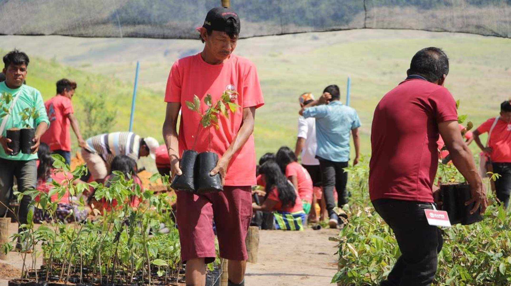 O principal objetivo do Hãmhi - Terra viva é formar 30 agentes agroflorestais tikmuun, que serão responsáveis pela implementação e manejo da recomposição florestal