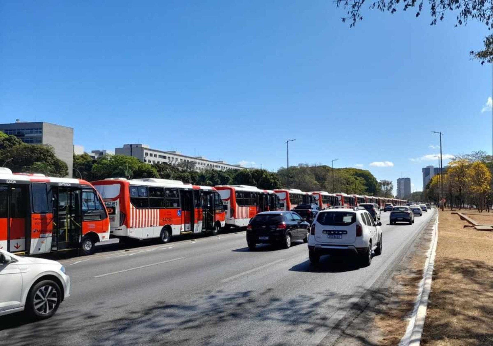 78 novos ônibus começam a circular em setembro no DF