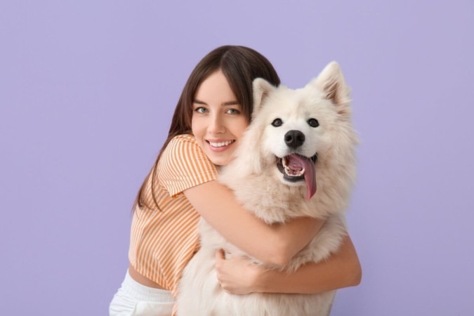 O samoieda é um cachorro amigável e afetuoso (Imagem: Pixel-Shot | Shutterstock) -  (crédito: EdiCase)