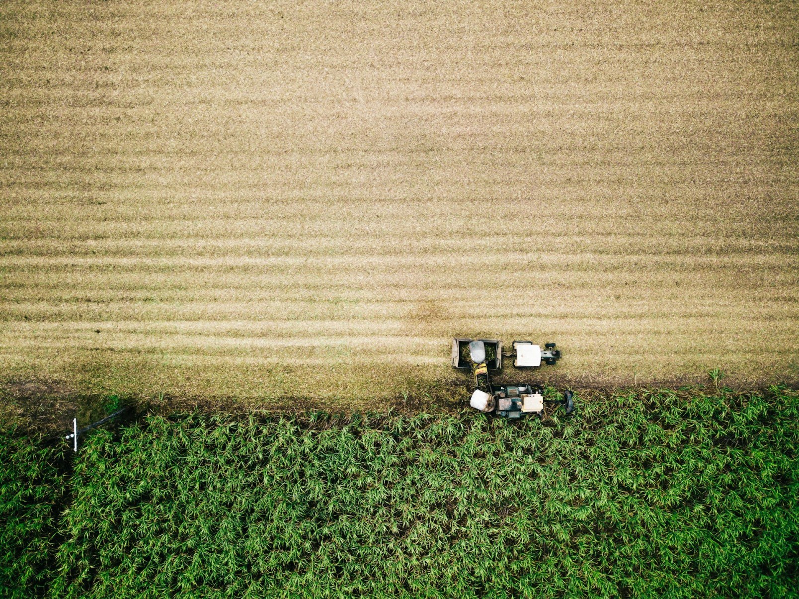 Projeto do Grupo Açotubo ultrapassa a marca de 100 plantas fabris -  (crédito: DINO)