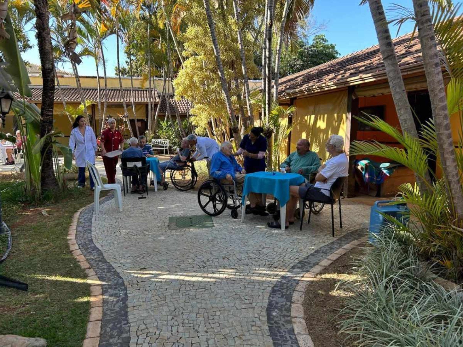 Cuidador de idoso, uma profissão que requer dedicação e amor ao que faz