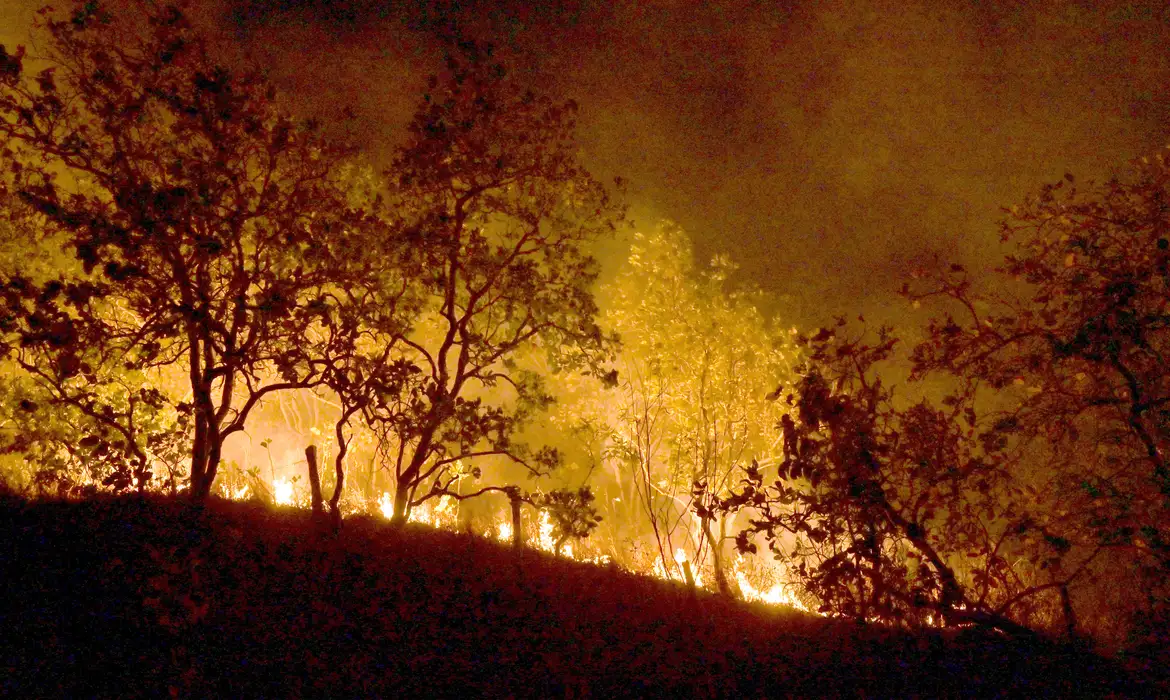 Incêndios na Amazônia e regularização fundiária