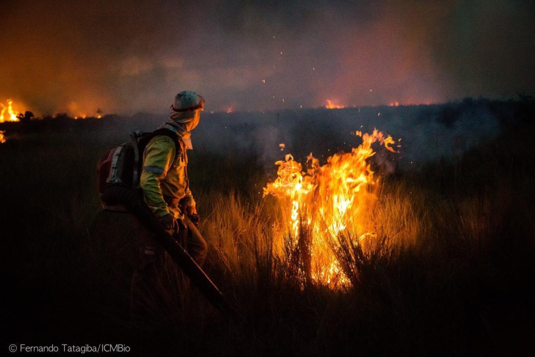 Manejo integrado do fogo: uma estratégia de combate aos incêndios