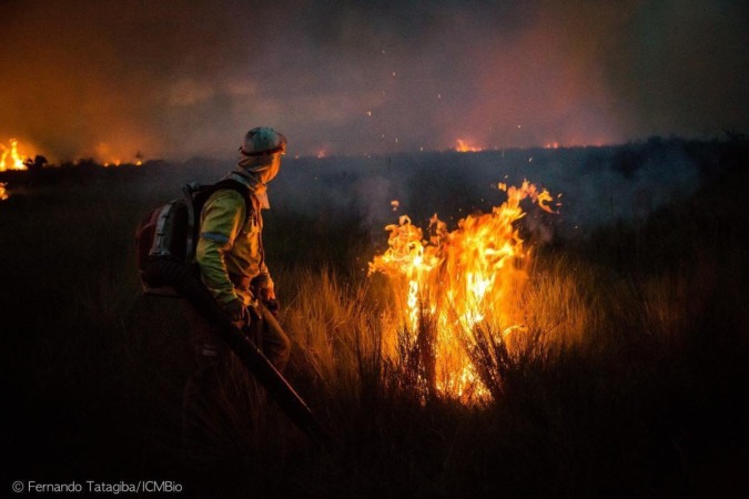 Brigadistas do ICMBio fazem uso de queimas prescritas no final da estação chuvosa para queimar o acúmulo de biomassa e evitar propagação de incêndios durante a seca. Ação faz parte do conjunto de estratégias que compõe o manejo integrado do fogo -  (crédito: Fernando Tatagiba/ICMBio)