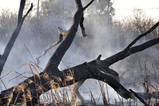 Em nove meses, o país já registrou 131 mil focos de incêndio -  (crédito: Minervino Júnior/CB/D.A.Press)