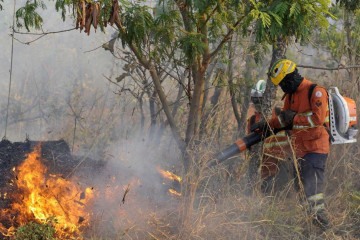 Incêndio na Flona -  (crédito:  Minervino Júnior/CB)