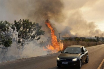 Incêndio começou na última terça-feira  -  (crédito:  Minervino Júnior/CB)