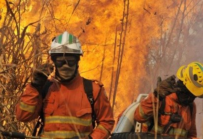 Incêndios em áreas de vegetação deixaram rastro de destruição em 2024 -  (crédito: Minervino Júnior/CB/D.A Press)