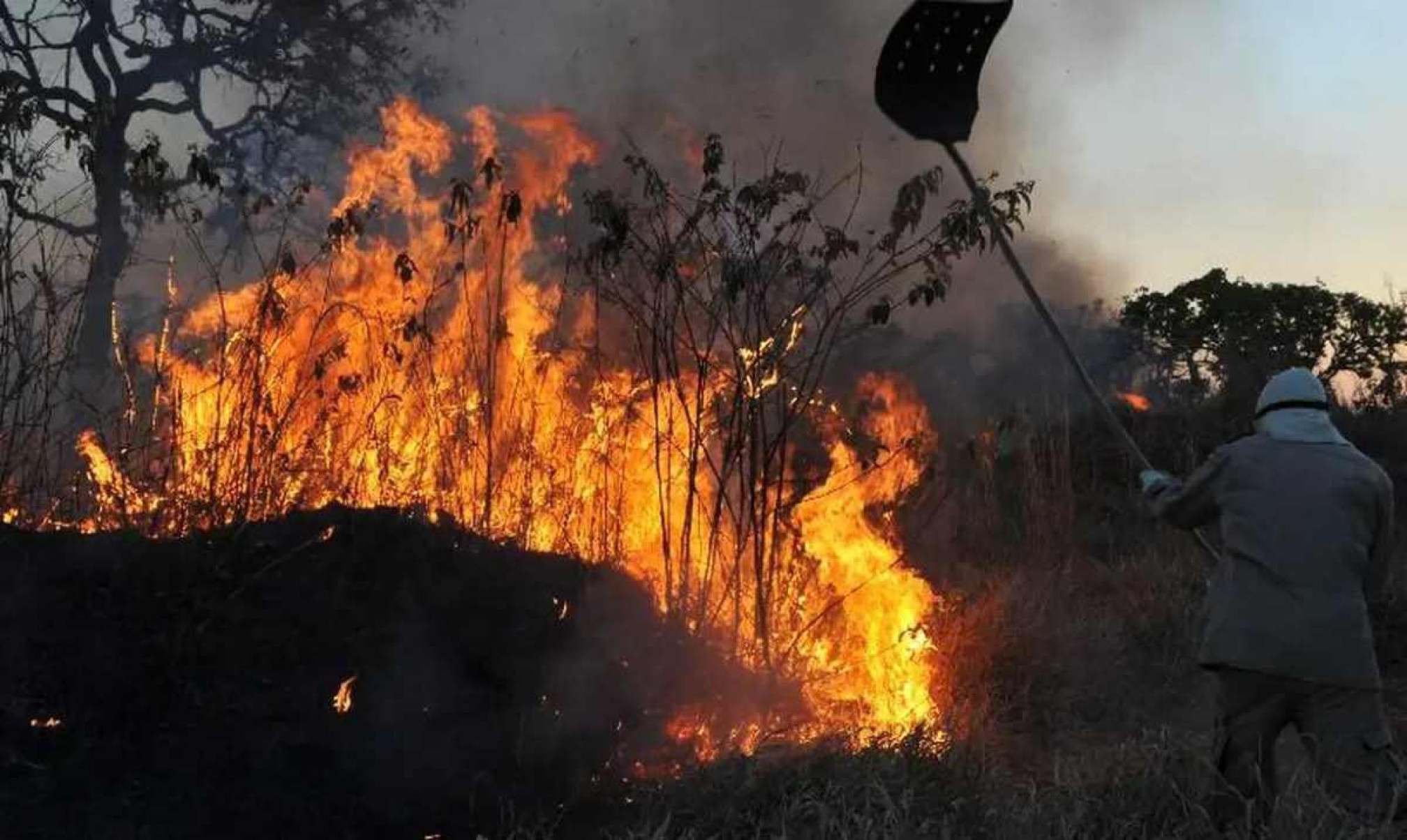 Fumaça da Amazônia chega ao DF e 15 estados