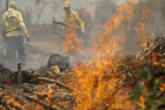  Mato Grosso já apresenta nesse início de setembro, no ápice das estiagens nessa época do ano, mais de 470 focos de incêndios registrados diariamente, -  (crédito:  Valter Campanato/Agencia Brasil)