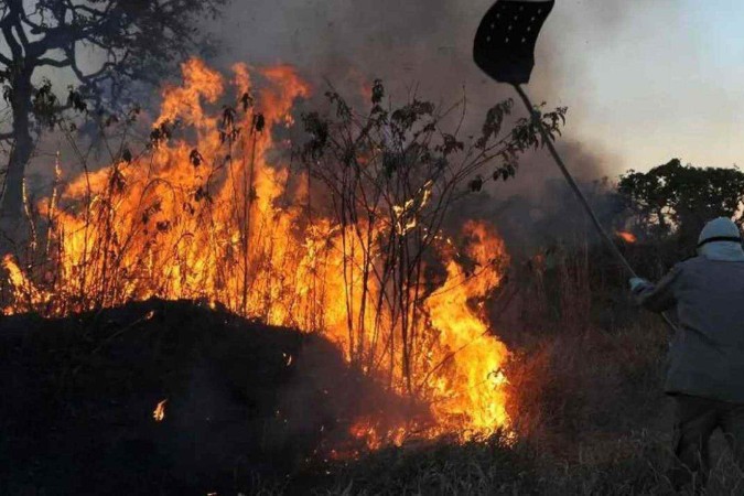 Brigadista combate incêndio em Mato Grosso: Ministério Público requereu na Justiça o reforço de 450 homens, além de aeronaves e mais verbas   -  (crédito:  Valter Campanato/Agencia Brasil)