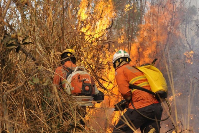 Ação de bombeiros: em grandeS incêndioS, como o que atingiu a Flona, alta temperatura, tempo seco e vento forte dificultam o combate  -  (crédito: Fotos: Minervino Júnior/CB)