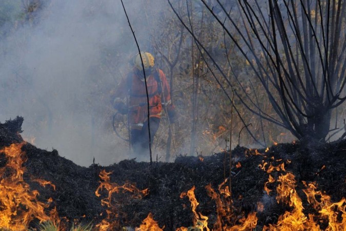 Alta temperatura, o tempo seco e vento dificultaram o combate ao incêndio na Floresta Nacional -  (crédito: Minervino Júnior/CB/D.A.Press)