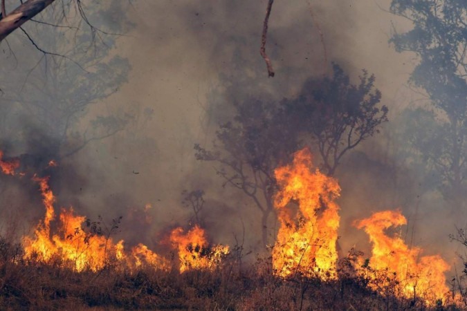  03/09/2024. Crédito: Minervino Júnior/CB/D.A Press. Brasil.  Brasilia - DF. Incêndio na Floresta Nacional FLONA  -  (crédito: Minervino Júnior/CB/D.A.Press)