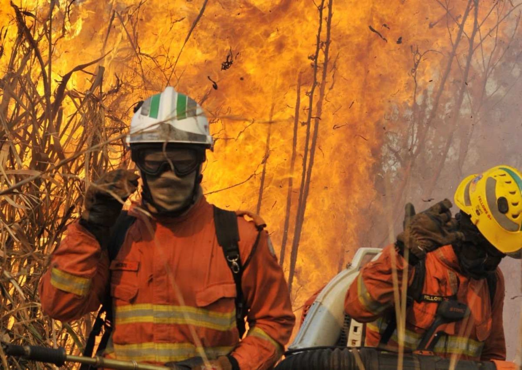 2,4 mil brigadistas ajudam bombeiros no combate aos incêndios no DF