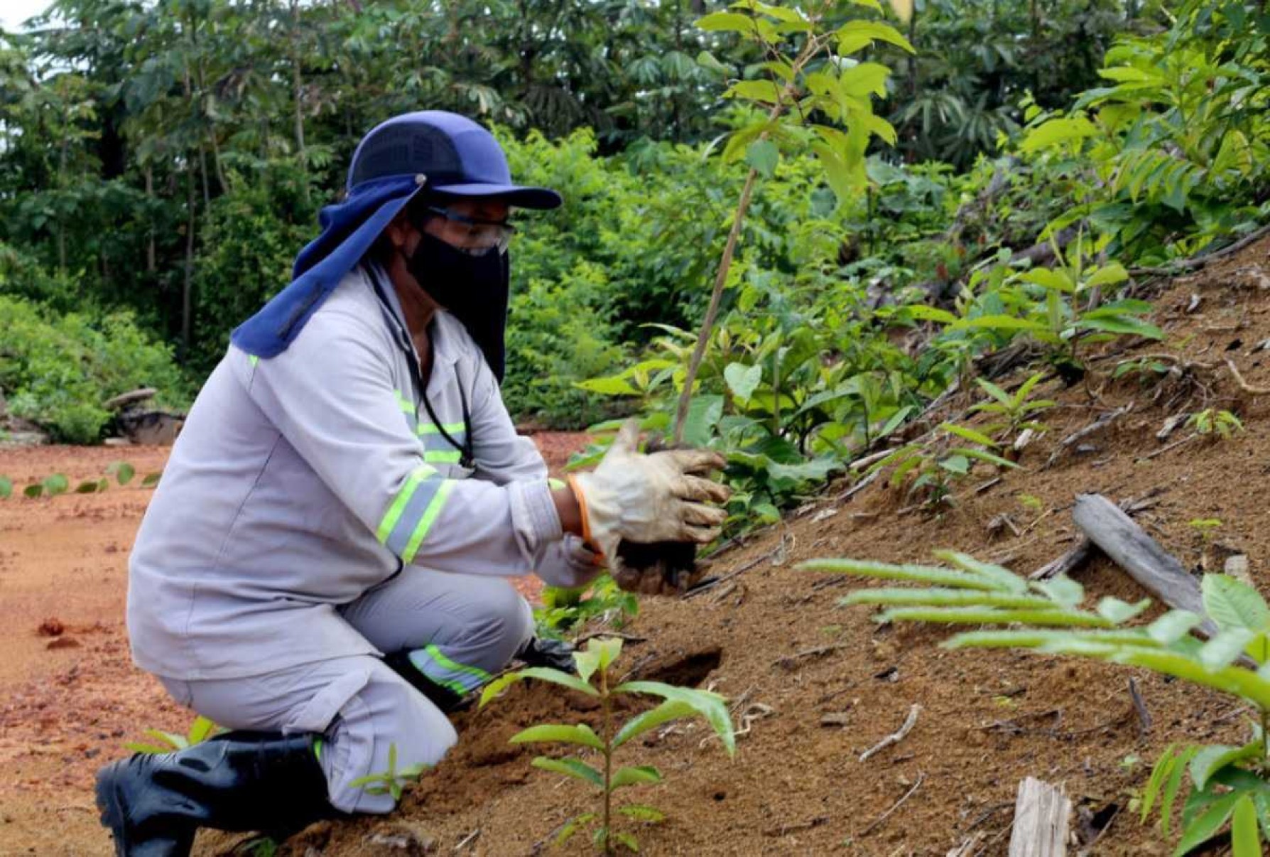 Correio debate o potencial do setor de mineração no Brasil