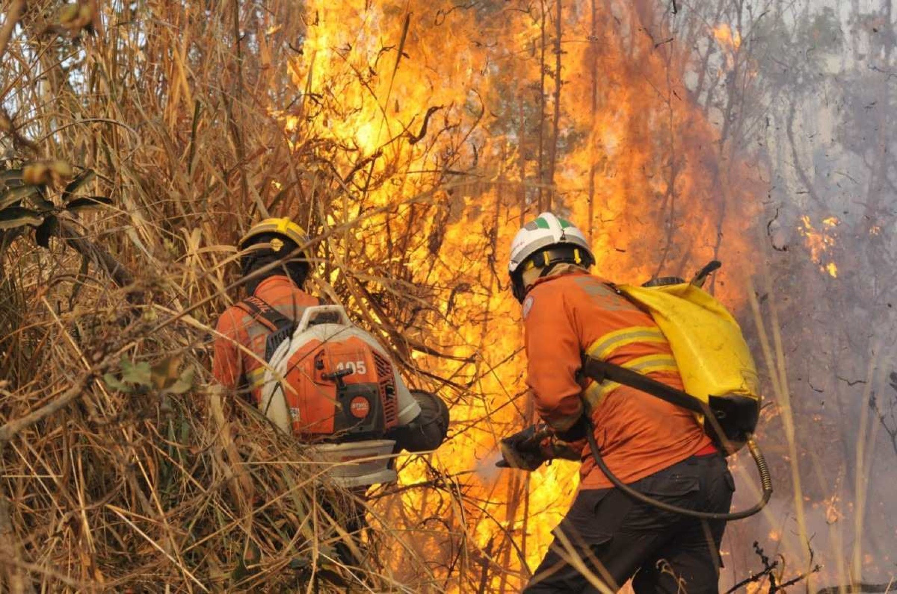 Incêndio atinge a Floresta Nacional nesta terça-feira e fogo é visto de longe