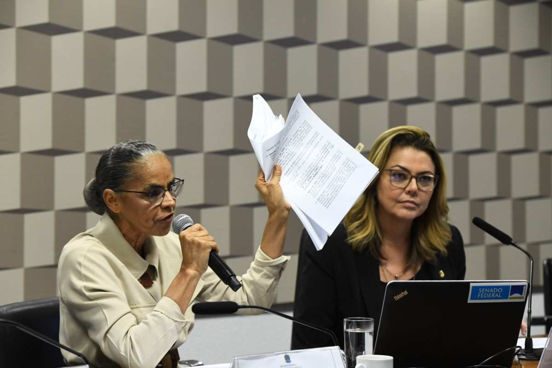 Marina Silva: 