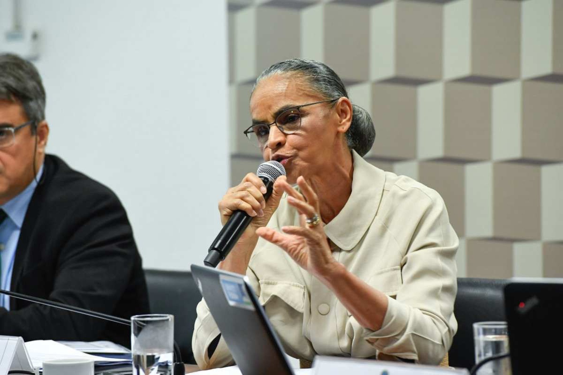 Marina Silva defende pena mais rigorosa para quem provocar queimadas