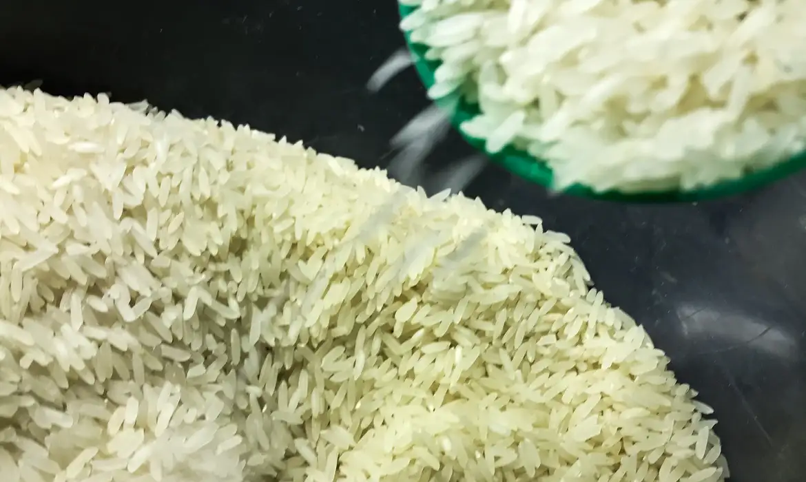 Conab vai doar sementes de arroz para agricultores familiares do RS -  (crédito: EBC)