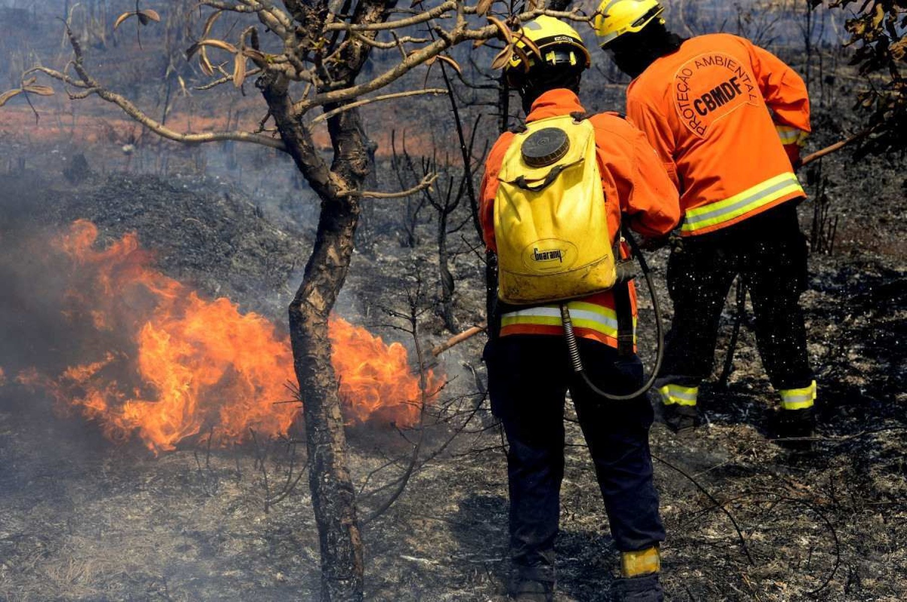  05/09/2024 Crédito: Marcelo Ferreira/CB/D.A Press. Brasil. Brasília - DF -  Bombeiros trabalha em incêncio na DF 001 ao lado da Floresta Nacional próxima a Taguatinga.