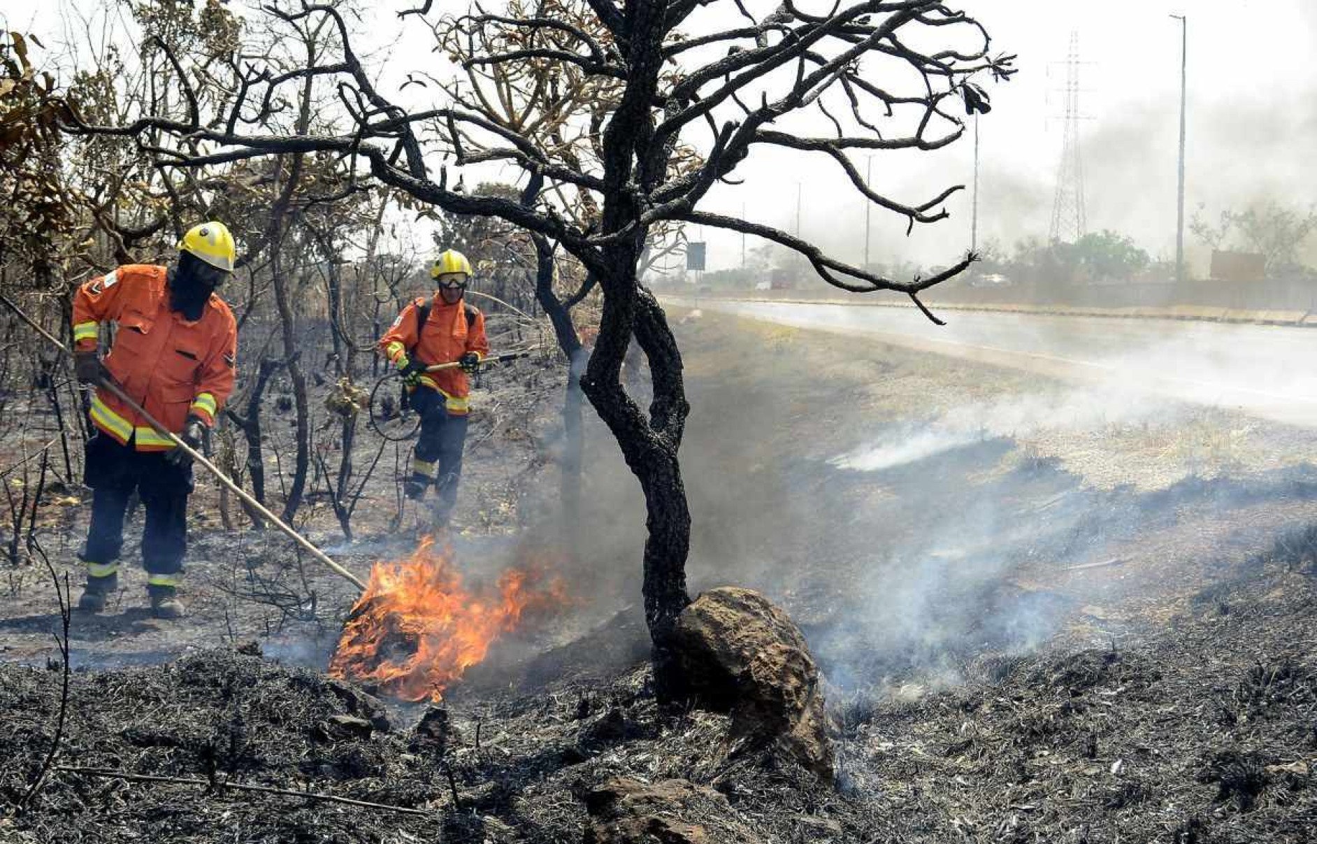  05/09/2024 Crédito: Marcelo Ferreira/CB/D.A Press. Brasil. Brasília - DF -  Bombeiros trabalha em incêncio na DF 001 ao lado da Floresta Nacional próxima a Taguatinga.