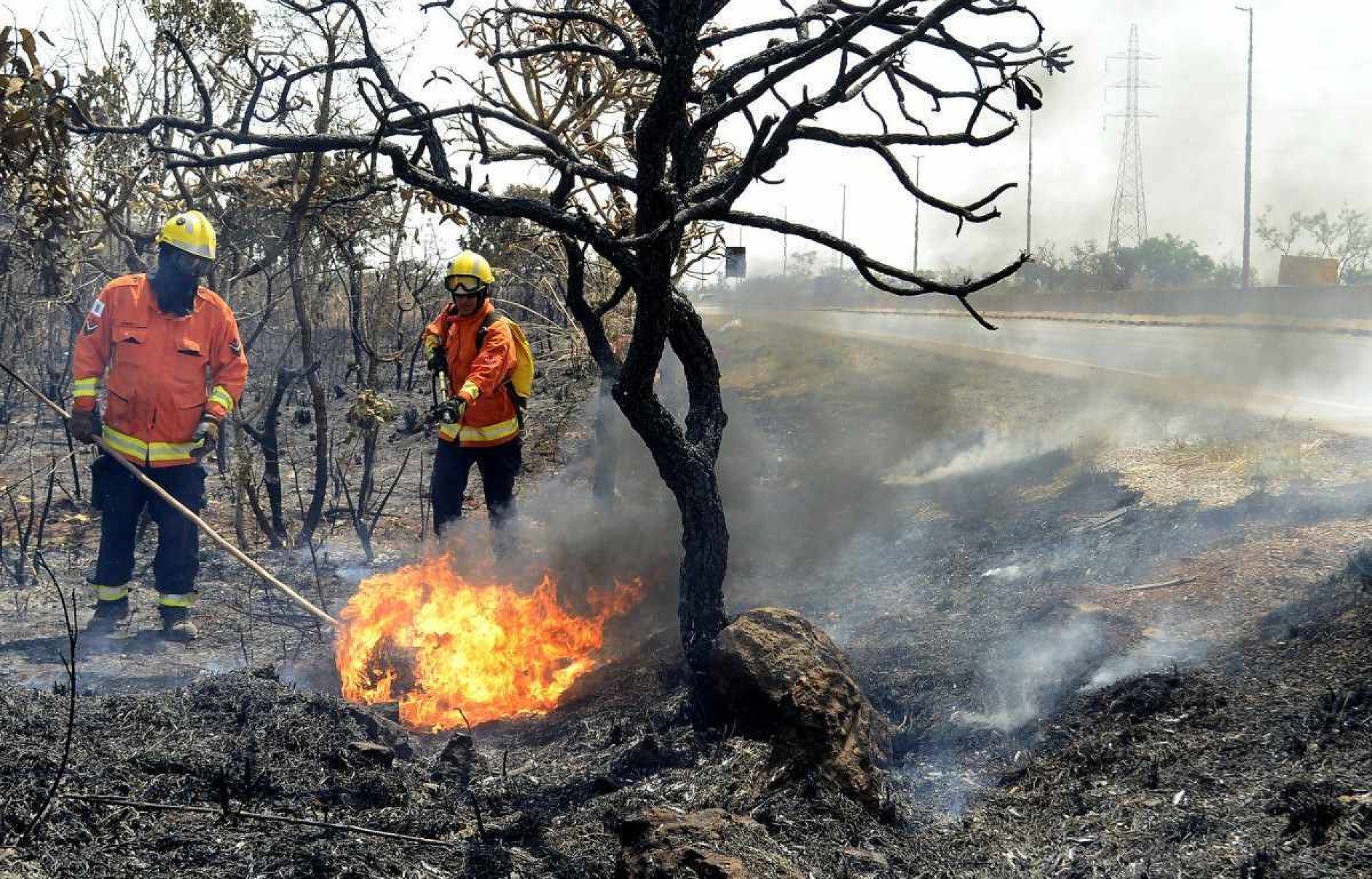  05/09/2024 Crédito: Marcelo Ferreira/CB/D.A Press. Brasil. Brasília - DF -  Bombeiros trabalha em incêncio na DF 001 ao lado da Floresta Nacional próxima a Taguatinga.