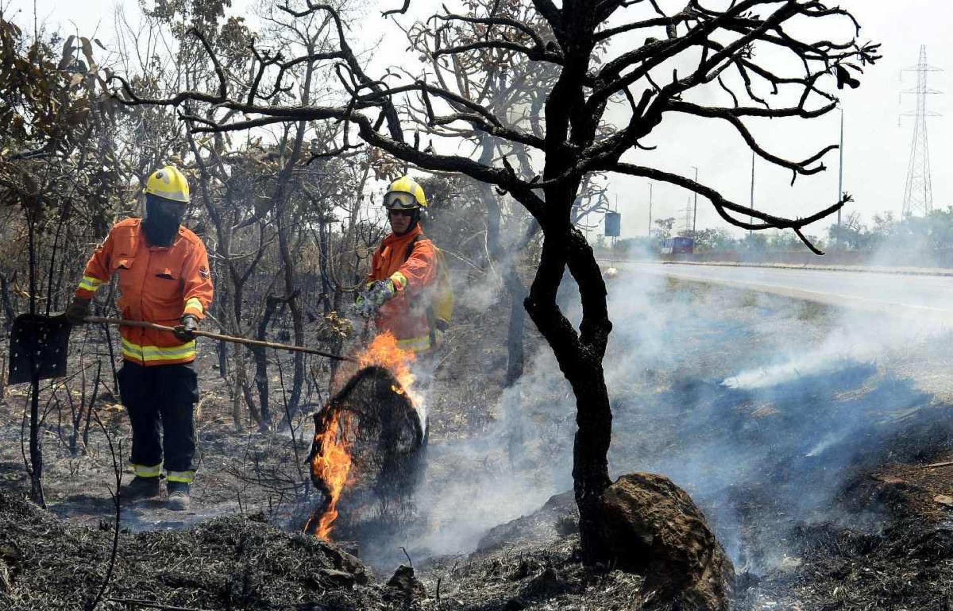  05/09/2024 Crédito: Marcelo Ferreira/CB/D.A Press. Brasil. Brasília - DF -  Bombeiros trabalha em incêncio na DF 001 ao lado da Floresta Nacional próxima a Taguatinga.