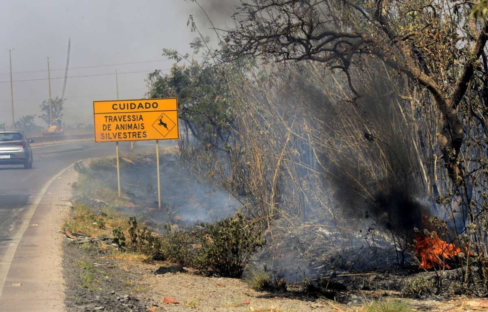  05/09/2024 Crédito: Marcelo Ferreira/CB/D.A Press. Brasil. Brasília - DF -  Bombeiros trabalha em incêncio na DF 001 ao lado da Floresta Nacional próxima a Taguatinga.