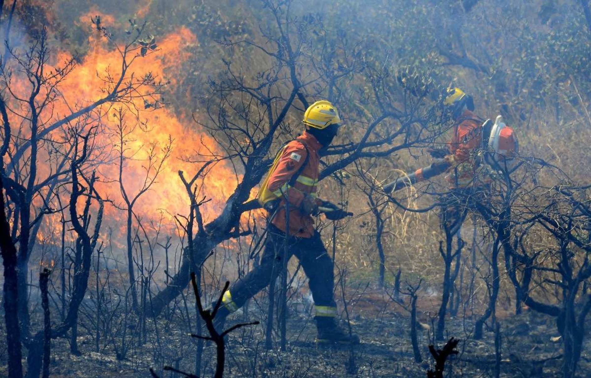     05/09/2024 Crédito: Marcelo Ferreira/CB/DA Imprensa. Brasil. Brasília - DF - Bombeiros trabalham em incêndio na área do Parque Nacional no DF 001 próximo à Floresta Nacional.