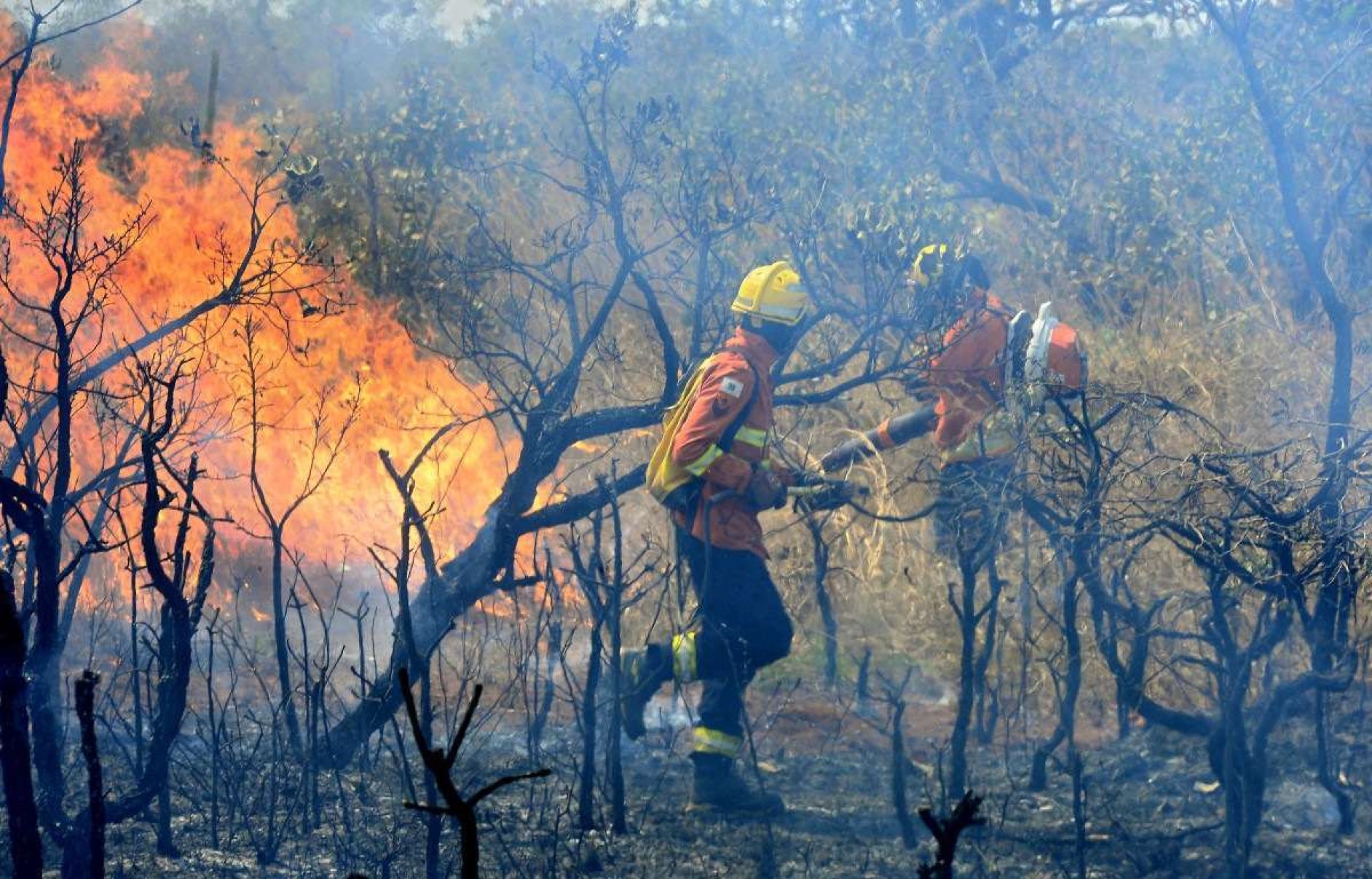  05/09/2024 Crédito: Marcelo Ferreira/CB/D.A Press. Brasil. Brasília - DF -  Bombeiros trabalham em incêndio na area do Parque Nacional na DF 001 ao lado da Floresta Nacional.