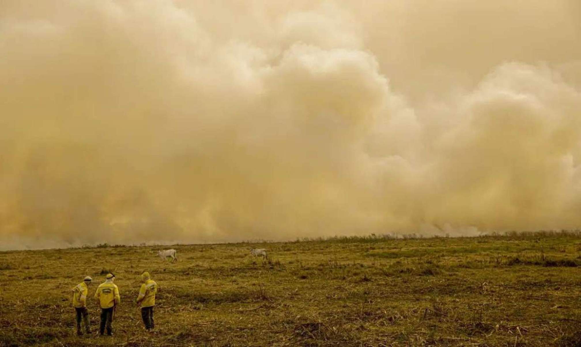 Queimadas deixam rastro de destruição por três biomas no Mato Grosso