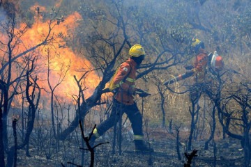  05/09/2024 Crédito: Marcelo Ferreira/CB/D.A Press. Brasil. Brasília - DF -  Bombeiros trabalham em incêndio na area do Parque Nacional na DF 001 ao lado da Floresta Nacional. -  (crédito:  Marcelo Ferreira/CB/D.A Press)