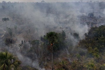 Queimadas ilegais na floresta amazônica às margens da rodovia BR-230 (Rodovia Transamazônica), próximo à cidade de Humaitá, estado do Amazonas -  (crédito: MICHAEL DANTAS / AFP)