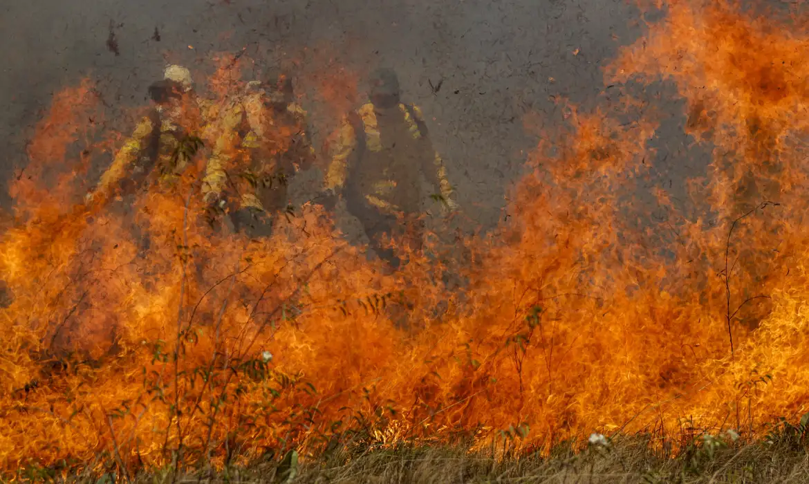 Parque da Cantareira é fechado por causa de incêndio; total chega a 81 -  (crédito: EBC)