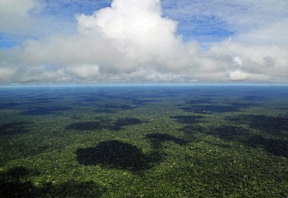 O dia da Amazônia comemora-se nesta quinta-feira (5/9). O dia é um marco que faz lembrar da necessidade urgente de conservar esse bioma. 
 -  (crédito: Neil Palmer )