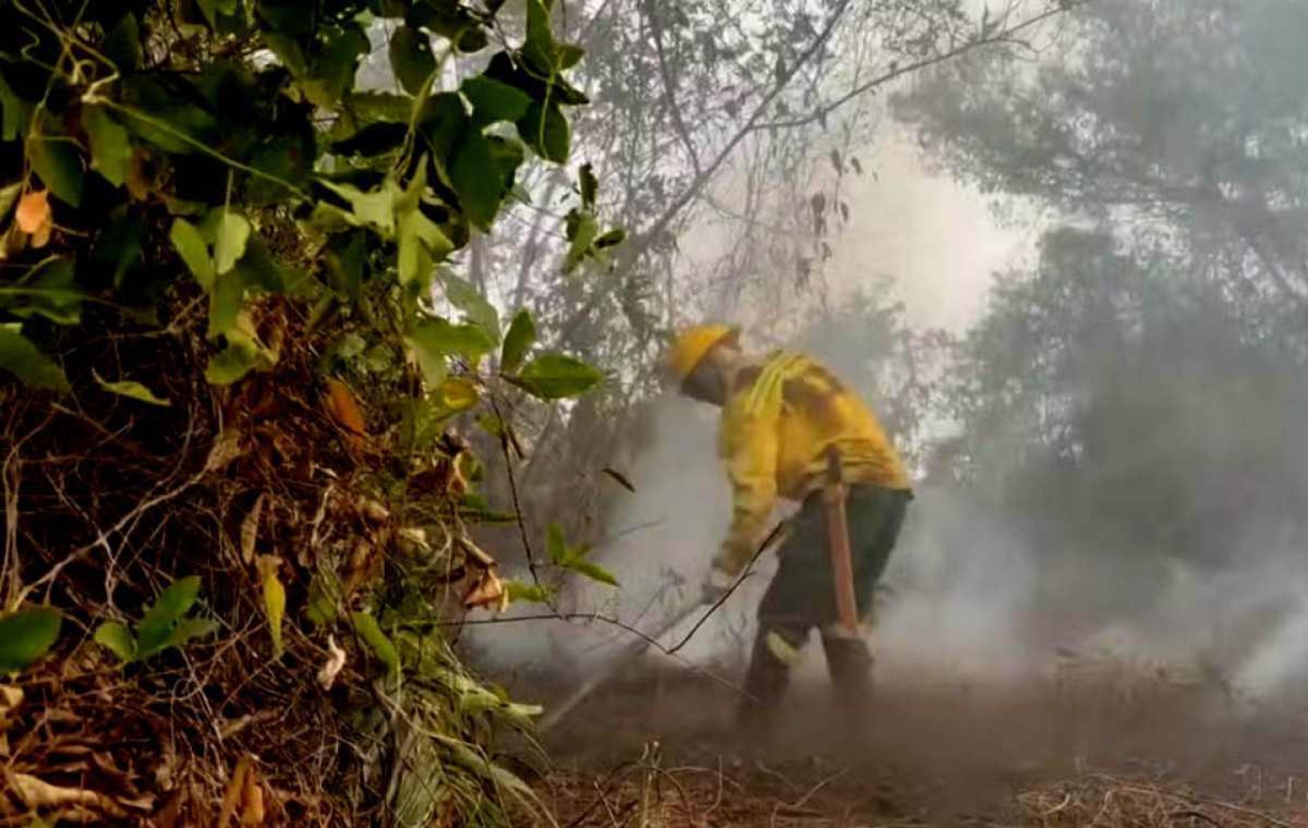 Brasil é o país da América do Sul com mais focos de incêndio