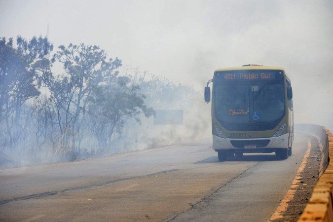  05/09/2024 Crédito: Marcelo Ferreira/CB/D.A Press. Brasil. Brasília - DF -  Rescaldo do incêndio na Floresta Nacional próxima a Taguatinga. -  (crédito:  Marcelo Ferreira/CB/D.A Press)