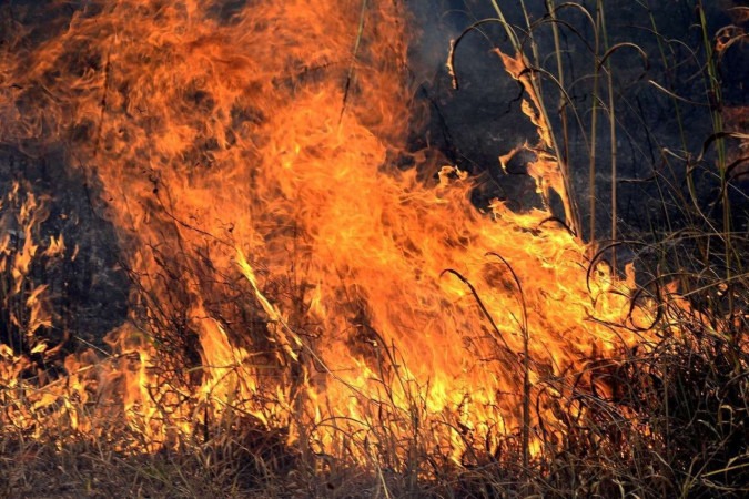 Os incêndios ameaçam a Serra do Amolar, no Pantanal boliviano, e populações tradicionais do lado brasileiro da fronteira -  (crédito:  Marcelo Ferreira/CB/D.A Press)