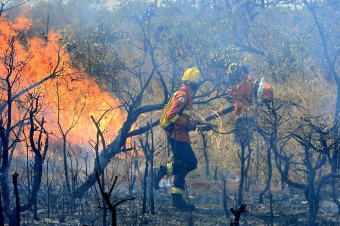 Em operação de combate a incêndios em Goiás, a Polícia Militar do estado realizou três  prisões em flagrante -  (crédito:  Marcelo Ferreira/CB/D.A Press)