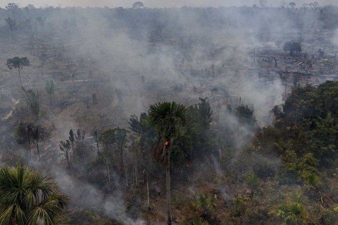 Queimadas ilegais na floresta amazônica às margens da rodovia BR-230 (Rodovia Transamazônica), próximo à cidade de Humaitá, estado do Amazonas       -  (crédito: MICHAEL DANTAS / AFP)