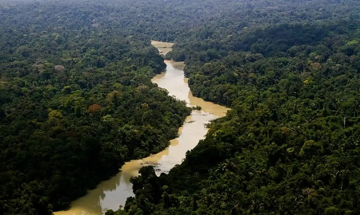 As curiosidades sobre a Amazônia