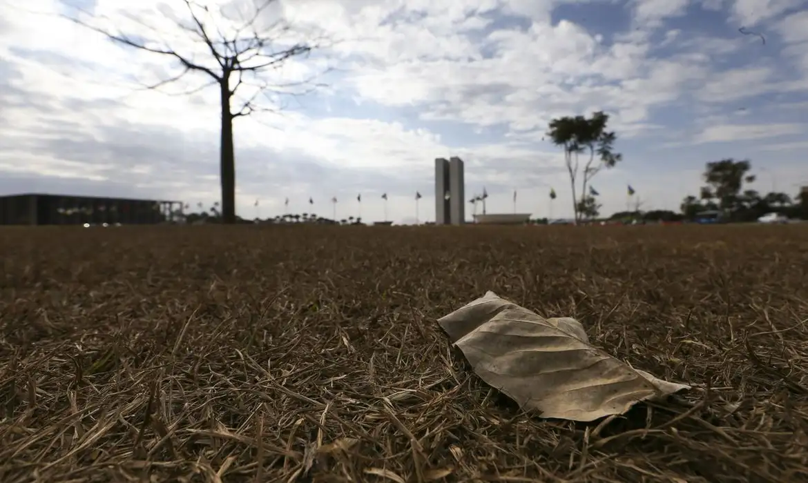 Oito estados e DF têm alerta de grande perigo para baixa umidade -  (crédito: EBC)