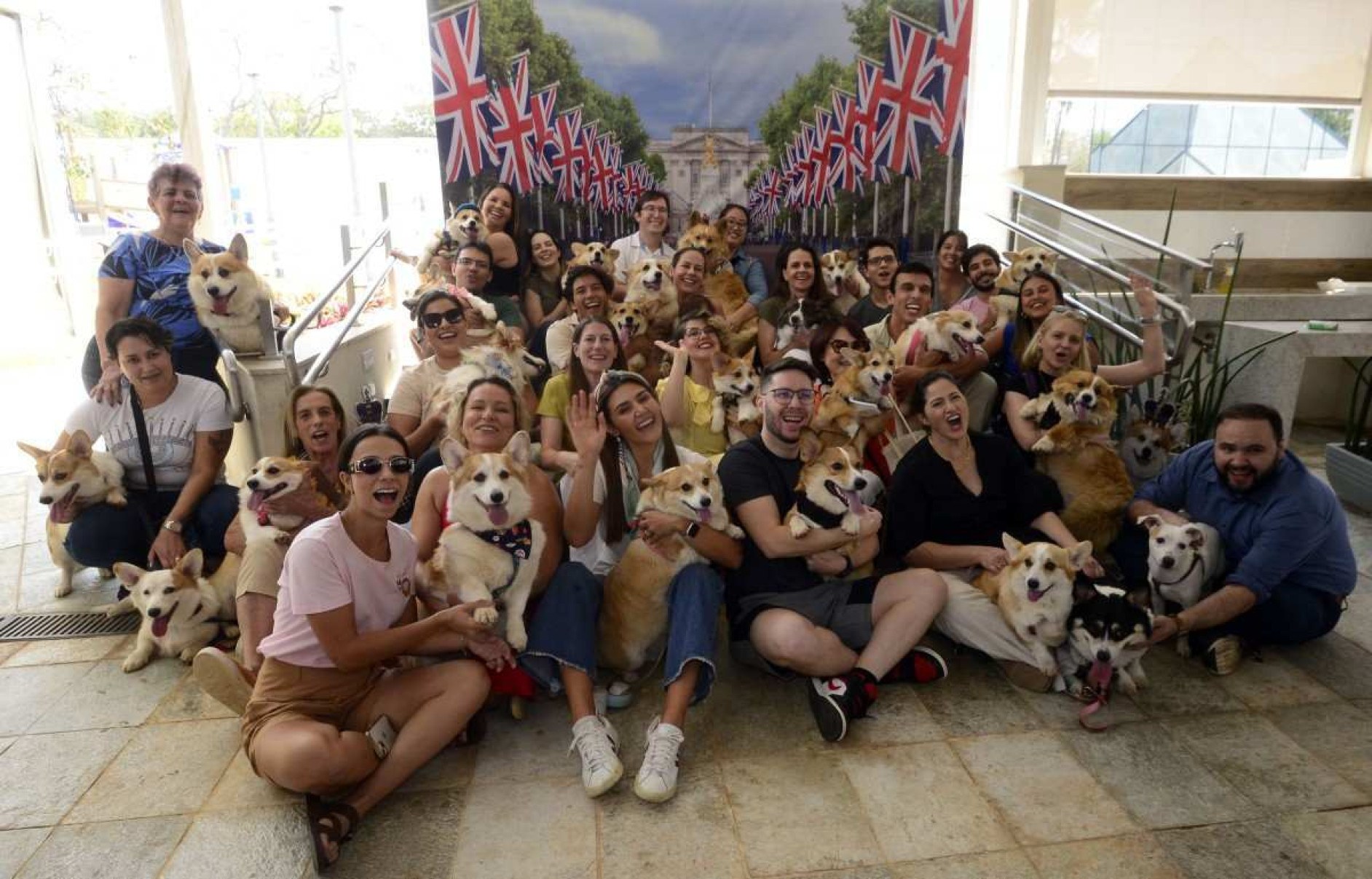 Homenagem à Rainha Elizabeth II em Brasília inclui encontro de corgis